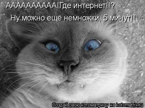 АААААААААА!Где интернет!! АААААААААА!Где интернет!!? Ну можно ещё немножки, 5 минут!!... Котоматрица: АААААААААА!Где интернет!! АААААААААА!Где интернет!!? Ну можно ещё немножки, 5 минут!!