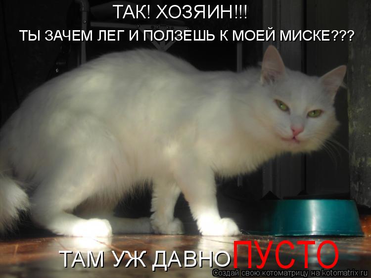 ТАК! ХОЗЯИН!!! ТЫ ЗАЧЕМ ЛЕГ И ПОЛЗЕШЬ К МОЕЙ МИСКЕ??? ТАМ УЖ ДАВНО ПУСТО... Котоматрица: ТАК! ХОЗЯИН!!! ТЫ ЗАЧЕМ ЛЕГ И ПОЛЗЕШЬ К МОЕЙ МИСКЕ??? ТАМ УЖ ДАВНО ПУСТО