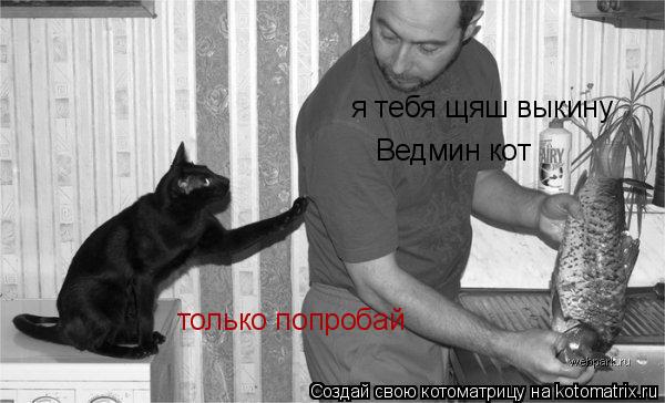 я тебя щяш выкину Ведмин кот только попробай... Котоматрица: я тебя щяш выкину Ведмин кот только попробай