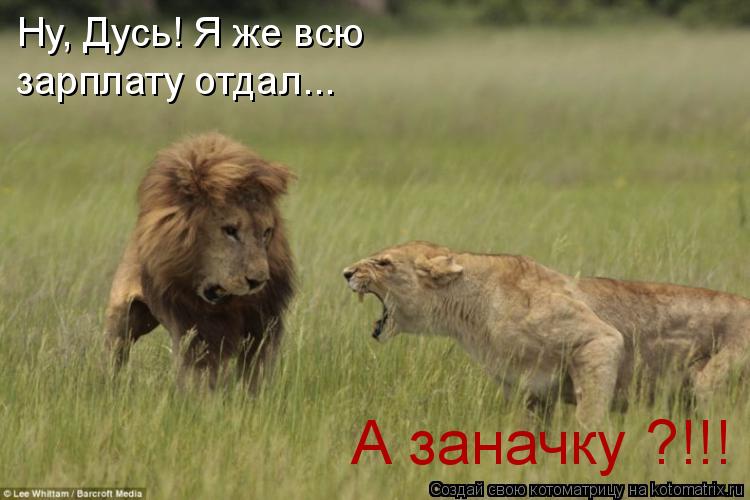 Ну, Дусь! Я же всю зарплату отдал... А заначку ?!!!... Котоматрица: Ну, Дусь! Я же всю зарплату отдал... А заначку ?!!!