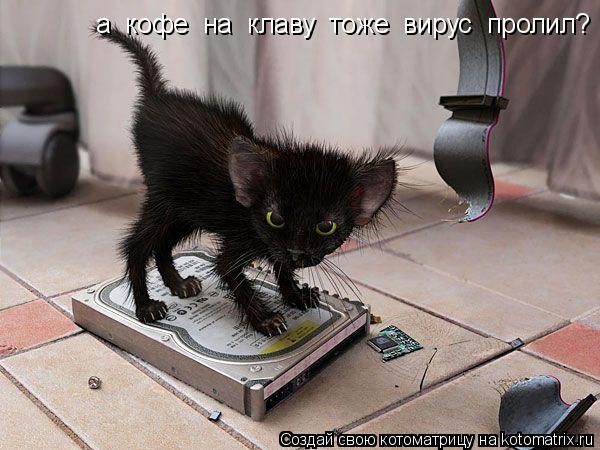 а кофе на клаву тоже вирус пролил?... Котоматрица: а кофе на клаву тоже вирус пролил?