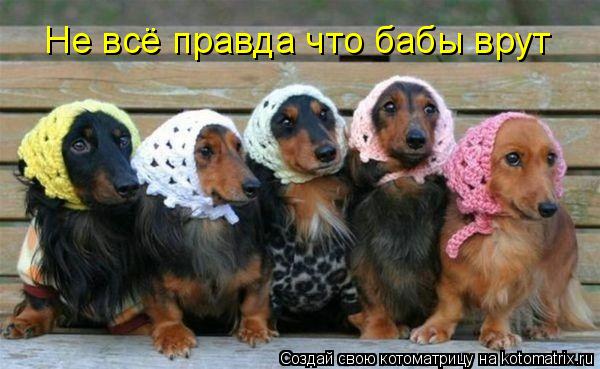 Не всё правда что бабы врут... Котоматрица: Не всё правда что бабы врут