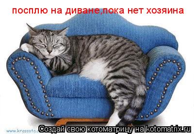 посплю на диване,пока нет хозяина... Котоматрица: посплю на диване,пока нет хозяина