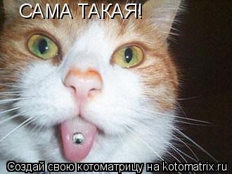 САМА ТАКАЯ!... Котоматрица: САМА ТАКАЯ!