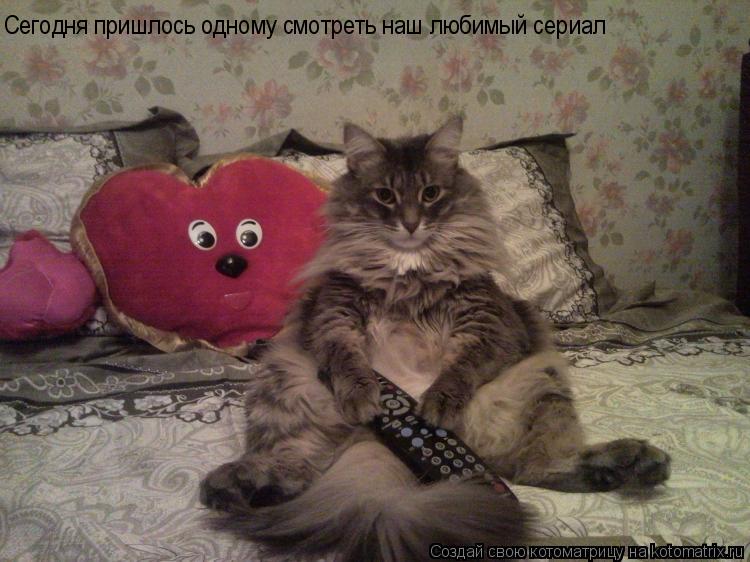 Сегодня пришлось одному смотреть наш любимый сериал... Котоматрица: Сегодня пришлось одному смотреть наш любимый сериал