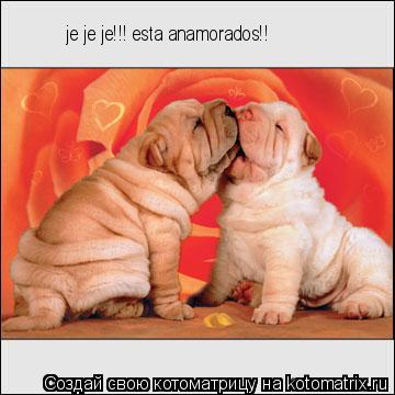 Котоматрица: je je je!!! esta anamorados!!