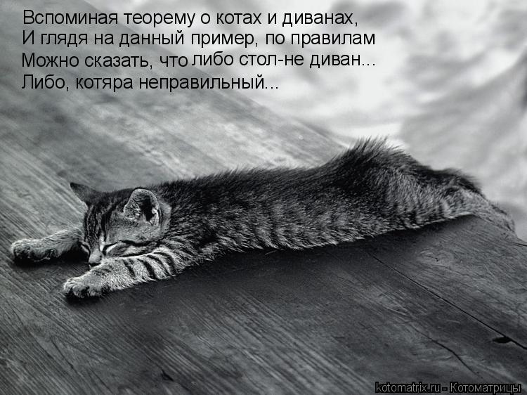 Вспоминая теорему о котах и диванах, Можно сказать, что либо стол-не диван... И глядя на данный приме... Котоматрица: Вспоминая теорему о котах и диванах, Можно сказать, что либо стол-не диван... И глядя на данный пример, по правилам Либо, котяра неправильный..