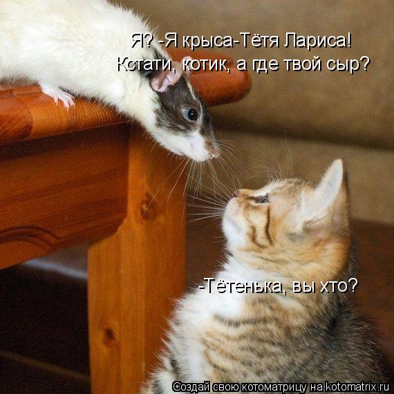 Котоматрица: -Тётенька, вы хто? Я? -Я крыса-Тётя Лариса! Кстати, котик, а где твой сыр?