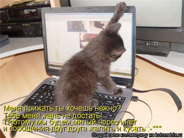 Меня прижать ты хочешь нежно? Тебе меня жаль не достать!.. Поэтому мы будем,милый,через инет и сообщ... Котоматрица: Меня прижать ты хочешь нежно? Тебе меня жаль не достать!.. Поэтому мы будем,милый,через инет и сообщения друг друга жалить и кусать :-***