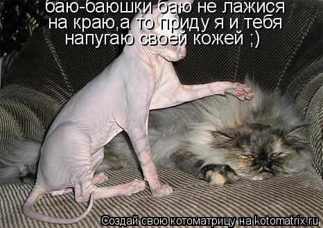 баю-баюшки баю не лажися на краю,а то приду я и тебя напугаю своей кожей ;)... Котоматрица: баю-баюшки баю не лажися на краю,а то приду я и тебя напугаю своей кожей ;)