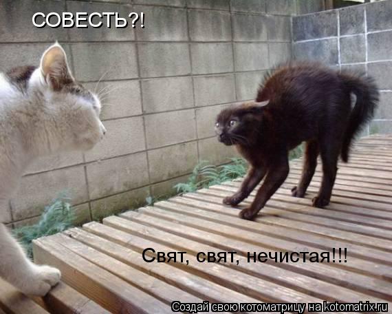 СОВЕСТЬ?! Свят, свят, нечистая!!!... Котоматрица: СОВЕСТЬ?! Свят, свят, нечистая!!!