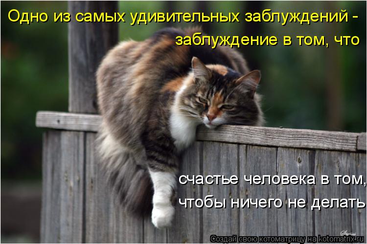 Одно из самых удивительных заблуждений - заблуждение в том, что счастье человека в том, чтобы ничего... Котоматрица: Одно из самых удивительных заблуждений - заблуждение в том, что счастье человека в том, чтобы ничего не делать