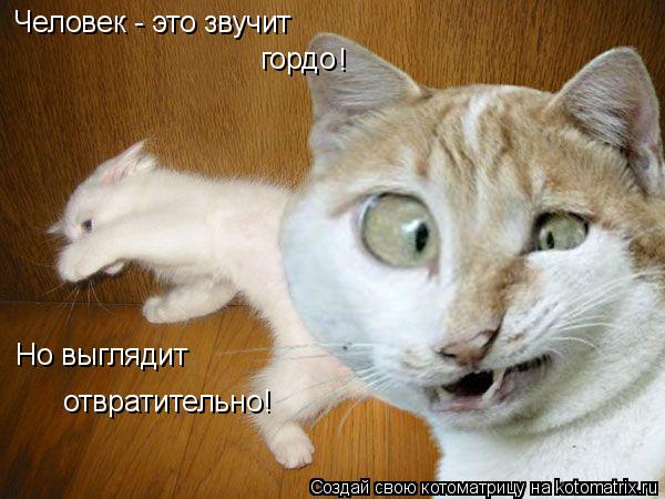 Человек - это звучит гордо ! Но выглядит отвратительно!... Котоматрица: Человек - это звучит гордо ! Но выглядит отвратительно!