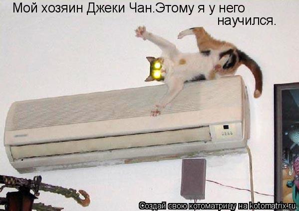 Мой хозяин Джеки Чан.Этому я у него научился.... Котоматрица: Мой хозяин Джеки Чан.Этому я у него научился.