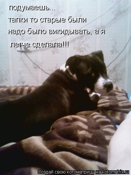 подумаешь... тапки то старые были надо было викидывать, а я легче сделала!!!... Котоматрица: подумаешь... тапки то старые были надо было викидывать, а я легче сделала!!!