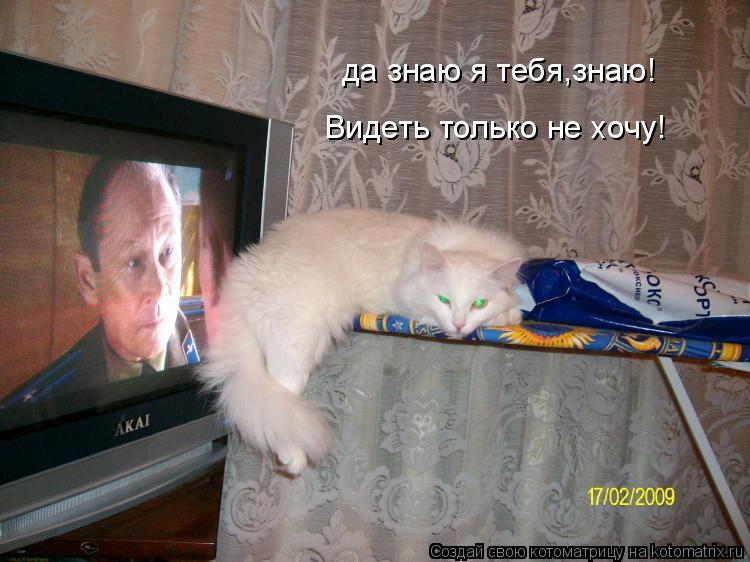 да знаю я тебя,знаю! Видеть только не хочу!... Котоматрица: да знаю я тебя,знаю! Видеть только не хочу!
