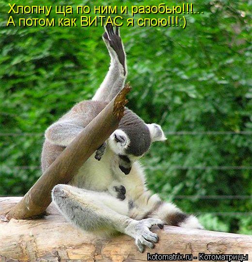 Хлопну ща по ним и разобью!!!... А потом как ВИТАС я спою!!!:)... Котоматрица: Хлопну ща по ним и разобью!!!... А потом как ВИТАС я спою!!!:)