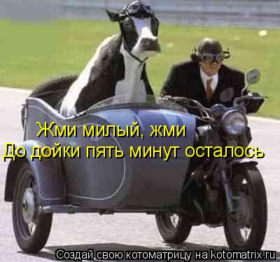 Жми милый, жми До дойки пять минут осталось... Котоматрица: Жми милый, жми До дойки пять минут осталось