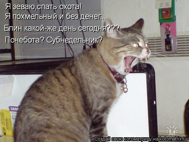 Котоматрица: Я зеваю,спать охота! Я похмельный и без денег... Блин какой-же день сегодня??? Понебота? Субнедельник?