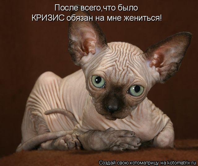 Котоматрица: После всего,что было КРИЗИС обязан на мне жениться!