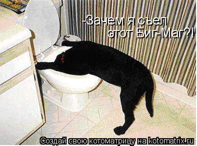-Зачем я съел этот Биг-Маг?!... Котоматрица: -Зачем я съел этот Биг-Маг?!