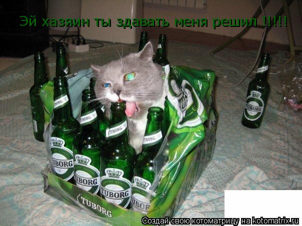 Котоматрица: Эй хазяин ты здавать меня решил !!!!!
