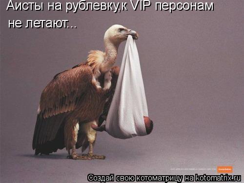 Аисты на рублевку,к VIP персонам не летают...... Котоматрица: Аисты на рублевку,к VIP персонам не летают...