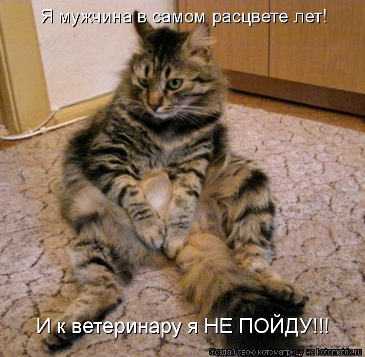 Котоматрица: Я мужчина в самом расцвете лет! И к ветеринару я НЕ ПОЙДУ!!!