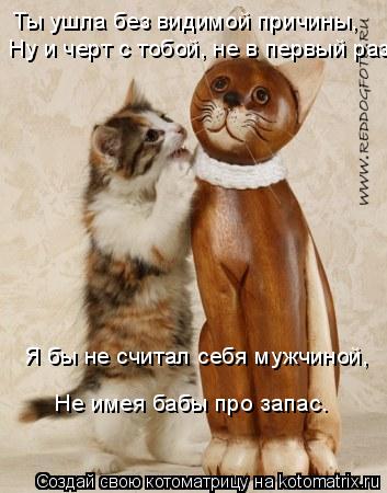 Котоматрица: Ты ушла без видимой причины, Ну и черт с тобой, не в первый раз. Я бы не считал себя мужчиной, Не имея бабы про запас.