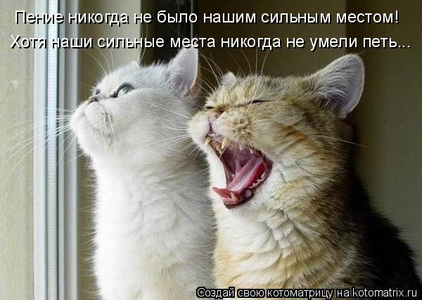 Котоматрица: Пение никогда не было нашим сильным местом!  Хотя наши сильные места никогда не умели петь...