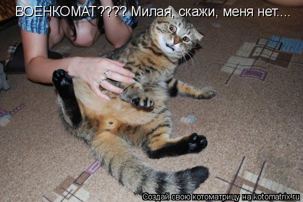 Котоматрица: ВОЕНКОМАТ???? Милая, скажи, меня нет....