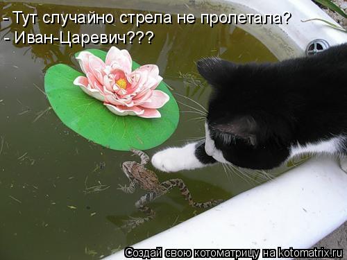 - Тут случайно стрела не пролетала? - Иван-Царевич???... Котоматрица: - Тут случайно стрела не пролетала? - Иван-Царевич???