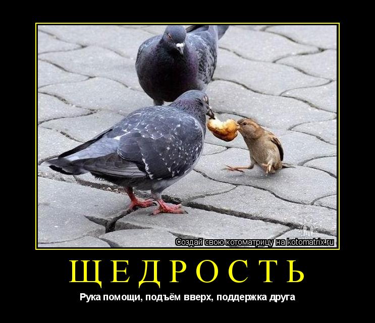 Щедрость Рука помощи, подъём вверх, поддержка друга... Котоматрица: Щедрость Рука помощи, подъём вверх, поддержка друга