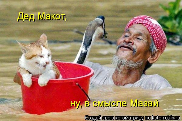 Котоматрица: Дед Макот,   ну, в смысле Мазай