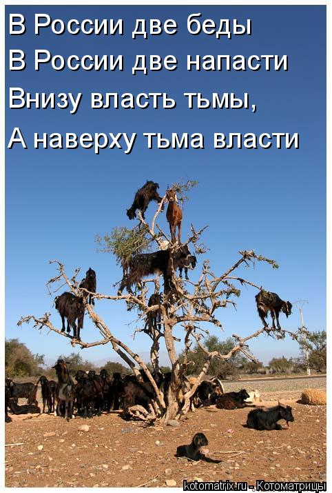 Котоматрица: В России две беды В России две напасти Внизу власть тьмы, А наверху тьма власти