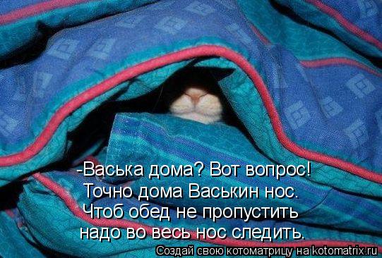 -Васька дома? Вот вопрос! Точно дома Васькин нос. Чтоб обед не пропустить надо во весь нос следить.... Котоматрица: -Васька дома? Вот вопрос! Точно дома Васькин нос. Чтоб обед не пропустить надо во весь нос следить.
