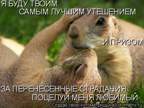 Я БУДУ ТВОИМ САМЫМ ЛУЧШИМ УТЕШЕНИЕМ ПОЦЕЛУЙ МЕНЯ ЛЮБИМЫЙ И ПРИЗОМ, ЗА ПЕРЕНЕСЕННЫЕ СТРАДАНИЯ... Котоматрица: Я БУДУ ТВОИМ САМЫМ ЛУЧШИМ УТЕШЕНИЕМ ПОЦЕЛУЙ МЕНЯ ЛЮБИМЫЙ И ПРИЗОМ, ЗА ПЕРЕНЕСЕННЫЕ СТРАДАНИЯ