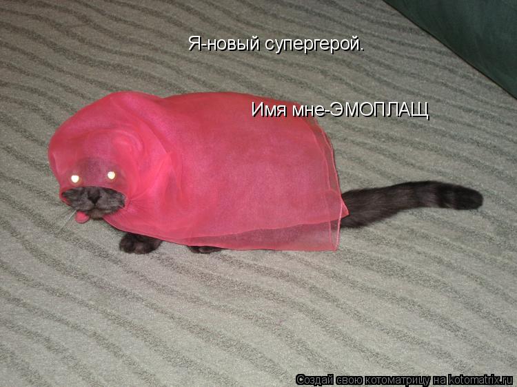 Я-новый супергерой. Имя мне-ЭМОПЛАЩ... Котоматрица: Я-новый супергерой. Имя мне-ЭМОПЛАЩ