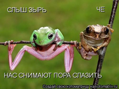 СЛЫШ ЗЫРЬ ЧЕ НАС СНИМАЮТ ПОРА СЛАЗИТЬ... Котоматрица: СЛЫШ ЗЫРЬ ЧЕ НАС СНИМАЮТ ПОРА СЛАЗИТЬ