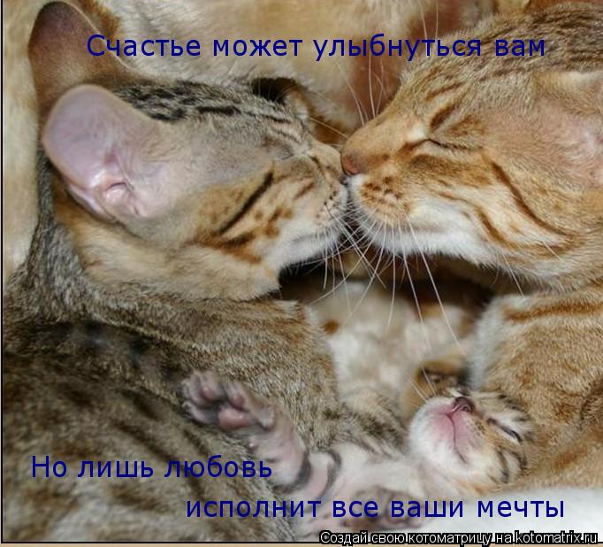 Котоматрица: Счастье может улыбнуться вам Но лишь любовь  исполнит все ваши мечты