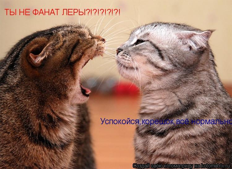 Котоматрица: ТЫ НЕ ФАНАТ ЛЕРЫ?!?!?!?!?! Успокойся,корешок,всё нормально