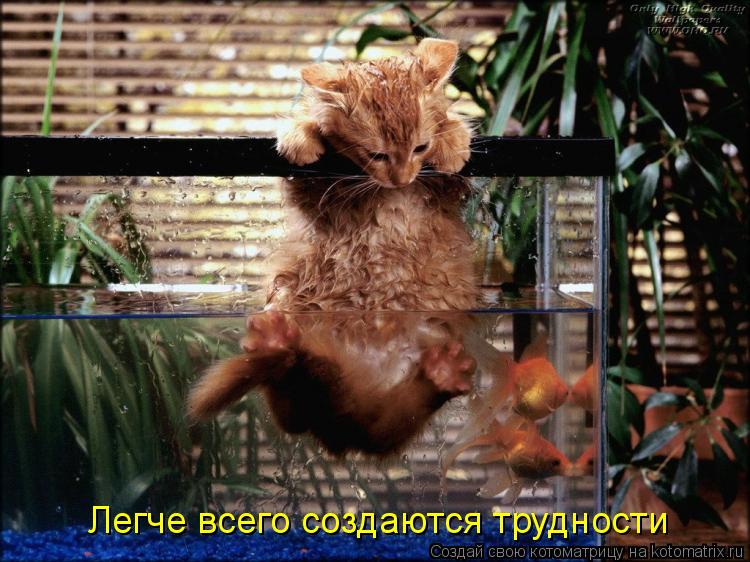 Легче всего создаются трудности... Котоматрица: Легче всего создаются трудности