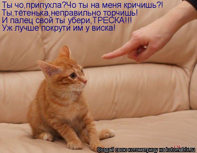 Котоматрица: Ты чо,припухла?Чо ты на меня кричишь?! Ты,тётенька,неправильно торчишь! И палец свой ты убери,ТРЕСКА!!! Уж лучше покрути им у виска!