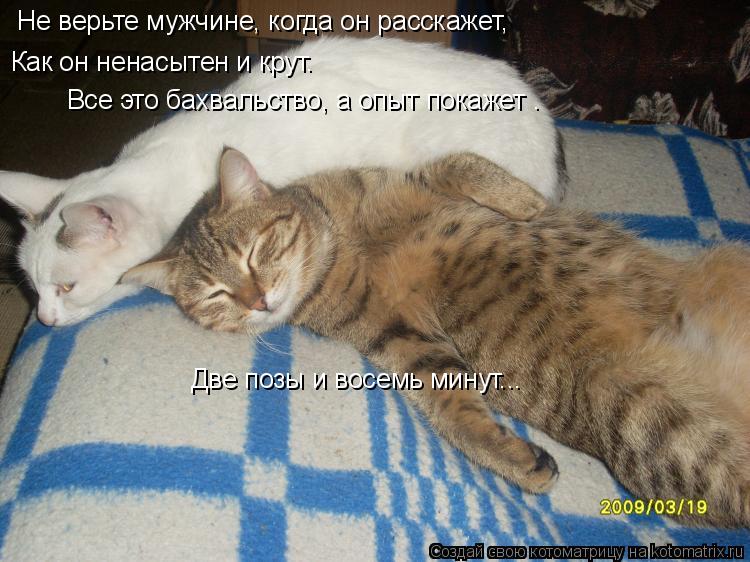 Котоматрица: Не верьте мужчине, когда он расскажет, Как он ненасытен и крут. Все это бахвальство, а опыт покажет – Две позы и восемь минут...