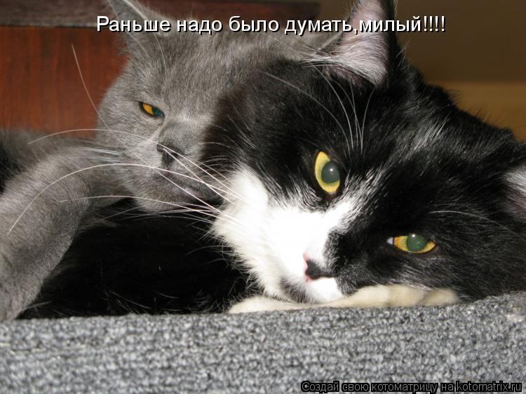 Раньше надо было думать,милый!!!!... Котоматрица: Раньше надо было думать,милый!!!!