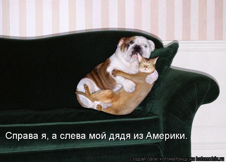 Справа я, а слева мой дядя из Америки.... Котоматрица: Справа я, а слева мой дядя из Америки.