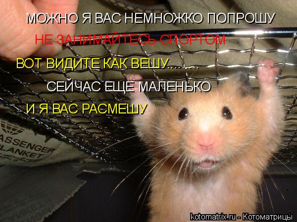 МОЖНО Я ВАС НЕМНОЖКО ПОПРОШУ НЕ ЗАНИМАЙТЕСЬ СПОРТОМ ВОТ ВИДИТЕ КАК ВЕШУ......... СЕЙЧАС ЕЩЕ МАЛЕНЬКО ... Котоматрица: МОЖНО Я ВАС НЕМНОЖКО ПОПРОШУ НЕ ЗАНИМАЙТЕСЬ СПОРТОМ ВОТ ВИДИТЕ КАК ВЕШУ......... СЕЙЧАС ЕЩЕ МАЛЕНЬКО И Я ВАС РАСМЕШУ