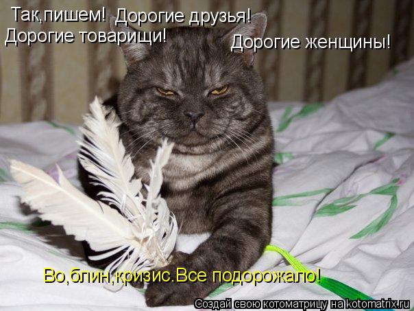 Так,пишем! Дорогие друзья! Дорогие товарищи! Дорогие женщины! Во,блин,кризис.Все подорожало!... Котоматрица: Так,пишем! Дорогие друзья! Дорогие товарищи! Дорогие женщины! Во,блин,кризис.Все подорожало!