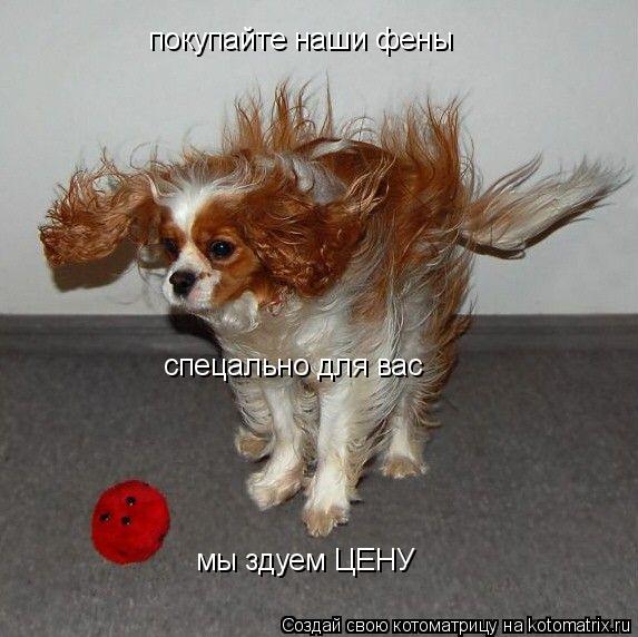 ааа... покупайте наши фены за покупайте наши фены спецально для вас мы здуем ЦЕНУ... Котоматрица: ааа... покупайте наши фены за покупайте наши фены спецально для вас мы здуем ЦЕНУ