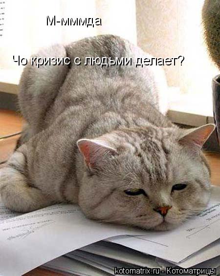 Котоматрица: М-мммда Чо кризис с людьми делает?